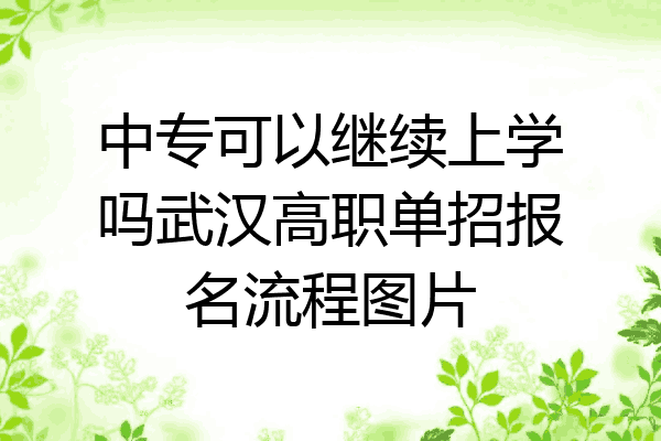 中专可以继续上学吗武汉高职单招报名流程图片