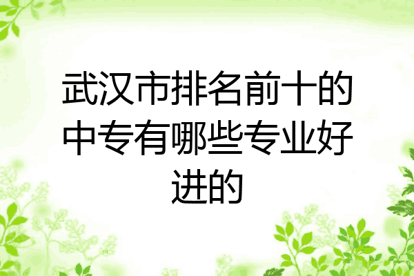 武汉市排名前十的中专有哪些专业好进的