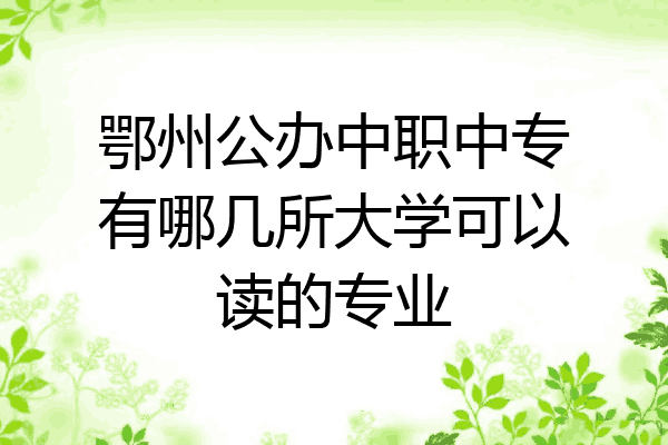 鄂州公办中职中专有哪几所大学可以读的专业