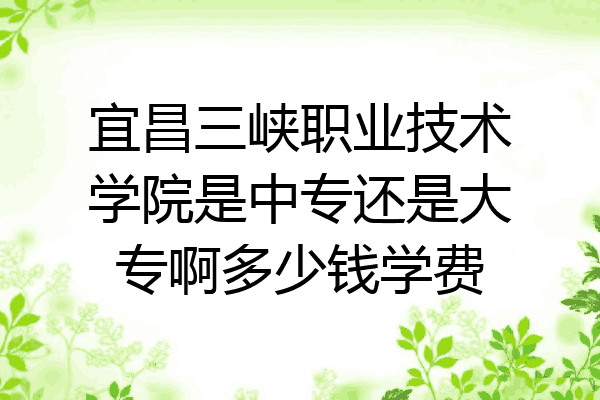 宜昌三峡职业技术学院是中专还是大专啊多少钱学费
