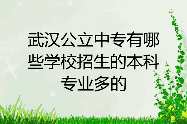 武汉公立中专有哪些学校招生的本科专业多的
