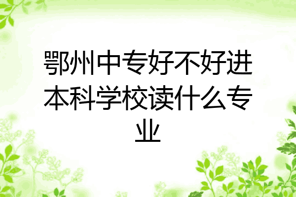 鄂州中专好不好进本科学校读什么专业