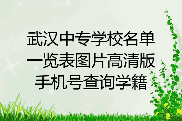 武汉中专学校名单一览表图片高清版手机号查询学籍
