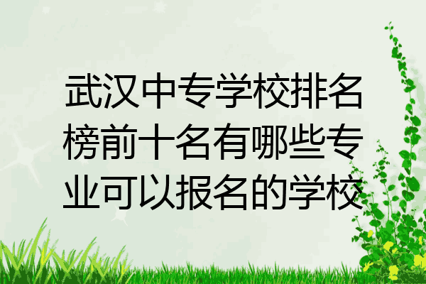 武汉中专学校排名榜前十名有哪些专业可以报名的学校