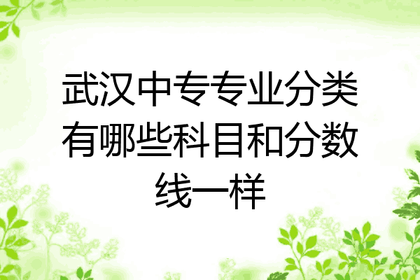 武汉中专专业分类有哪些科目和分数线一样