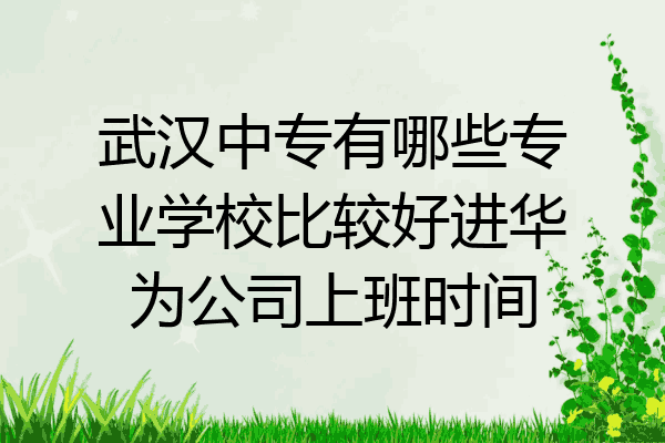 武汉中专有哪些专业学校比较好进华为公司上班时间