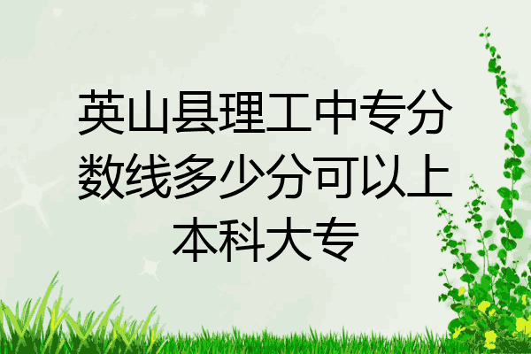 英山县理工中专分数线多少分可以上本科大专