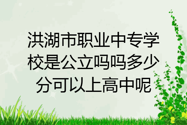 洪湖市职业中专学校是公立吗吗多少分可以上高中呢