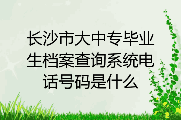 长沙市大中专毕业生档案查询系统电话号码是什么