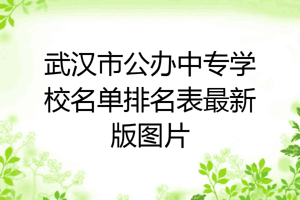 武汉市公办中专学校名单排名表最新版图片