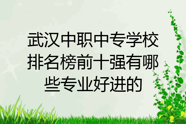 武汉中职中专学校排名榜前十强有哪些专业好进的
