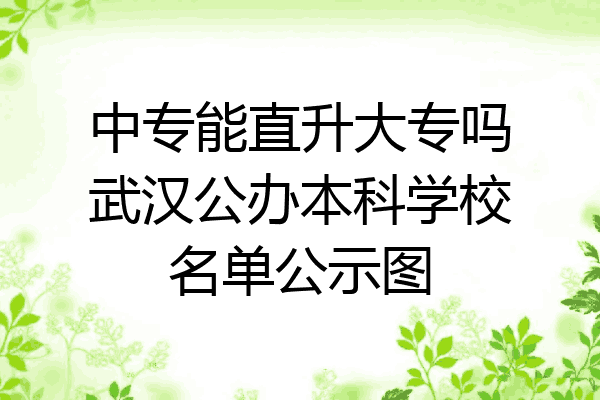 中专能直升大专吗武汉公办本科学校名单公示图