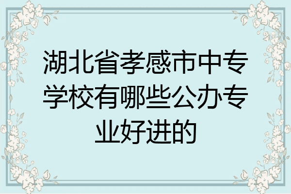 湖北省孝感市中专学校有哪些公办专业好进的