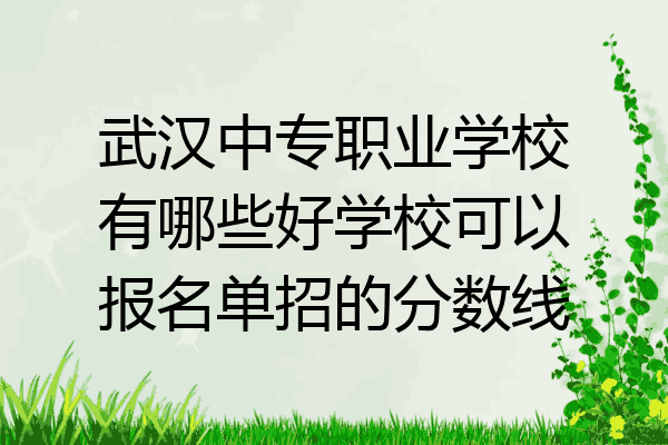 武汉中专职业学校有哪些好学校可以报名单招的分数线