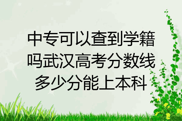 中专可以查到学籍吗武汉高考分数线多少分能上本科