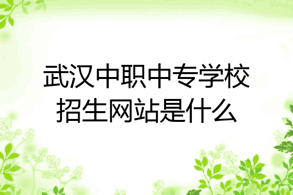 武汉中职中专学校招生网站是什么