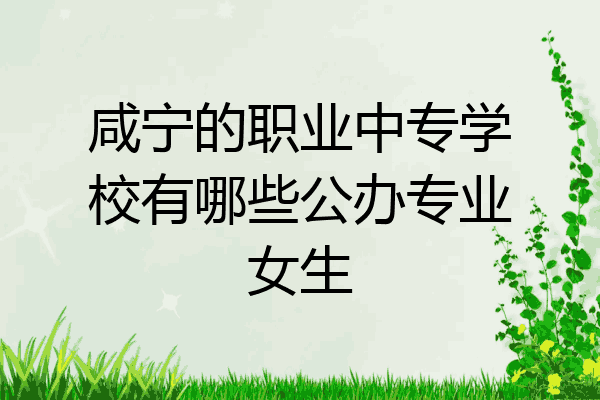 咸宁的职业中专学校有哪些公办专业女生
