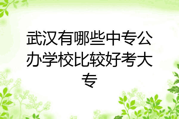 武汉有哪些中专公办学校比较好考大专