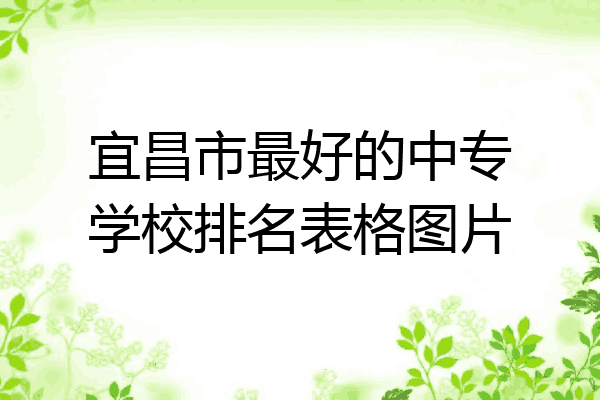 宜昌市最好的中专学校排名表格图片