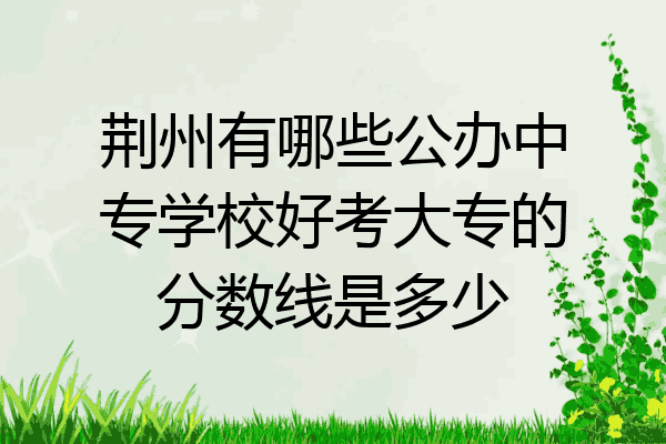 荆州有哪些公办中专学校好考大专的分数线是多少