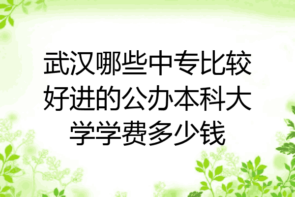 武汉哪些中专比较好进的公办本科大学学费多少钱