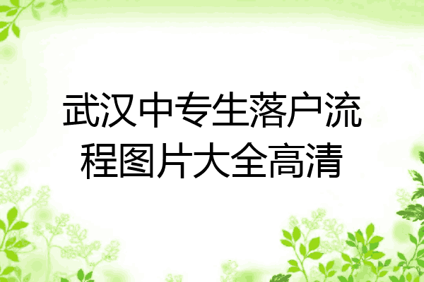 武汉中专生落户流程图片大全高清