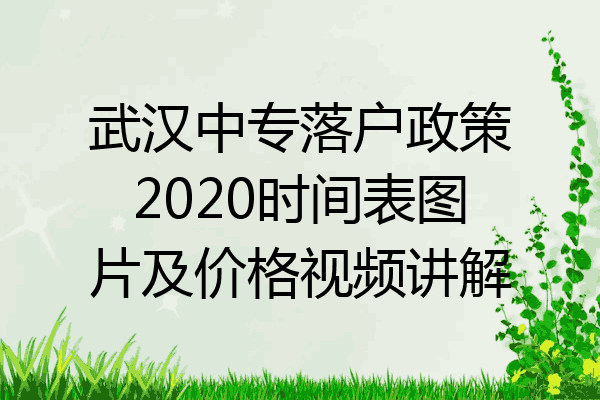 武汉中专落户政策2020时间表图片及价格视频讲解