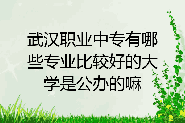 武汉职业中专有哪些专业比较好的大学是公办的嘛