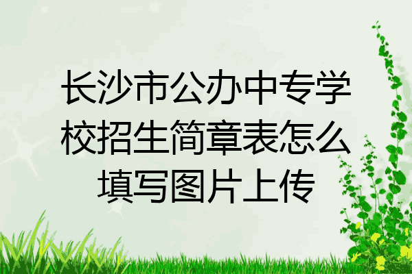 长沙市公办中专学校招生简章表怎么填写图片上传