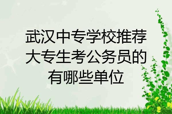 武汉中专学校推荐大专生考公务员的有哪些单位