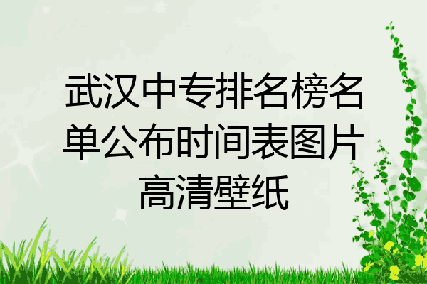 武汉中专排名榜名单公布时间表图片高清壁纸
