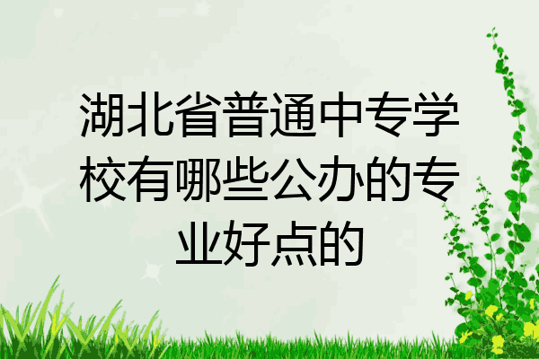 湖北省普通中专学校有哪些公办的专业好点的