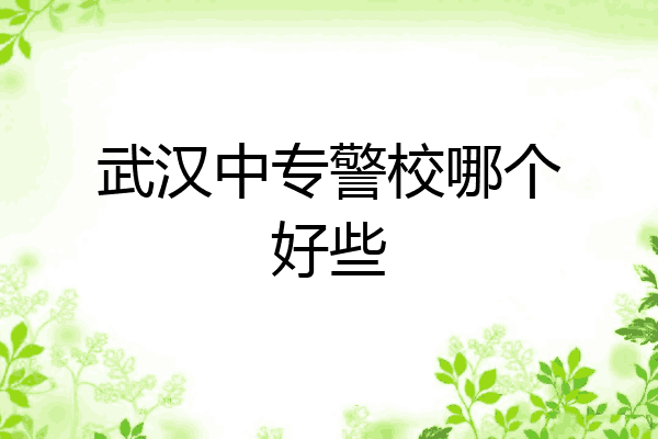 武汉中专警校哪个好些