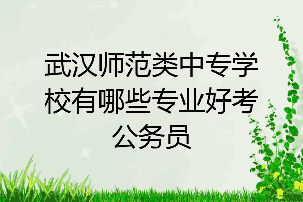武汉师范类中专学校有哪些专业好考公务员