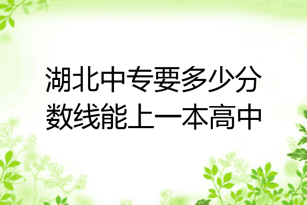 湖北中专要多少分数线能上一本高中
