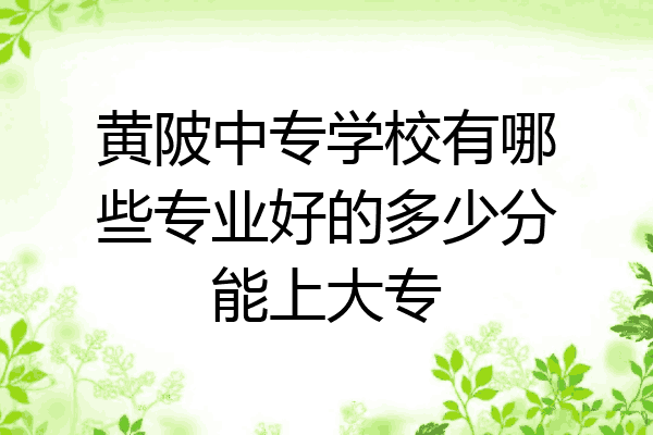 黄陂中专学校有哪些专业好的多少分能上大专