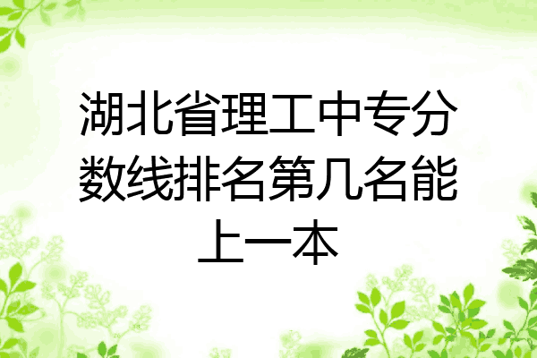 湖北省理工中专分数线排名第几名能上一本