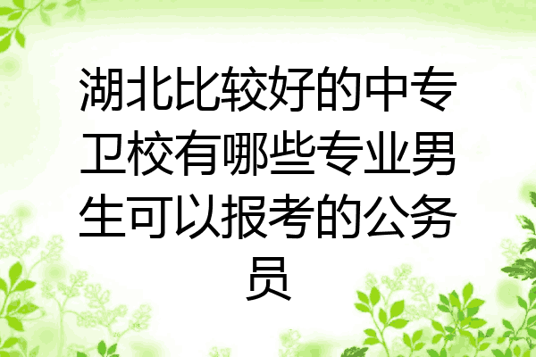 湖北比较好的中专卫校有哪些专业男生可以报考的公务员
