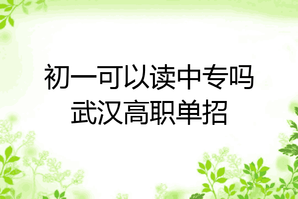 初一可以读中专吗武汉高职单招