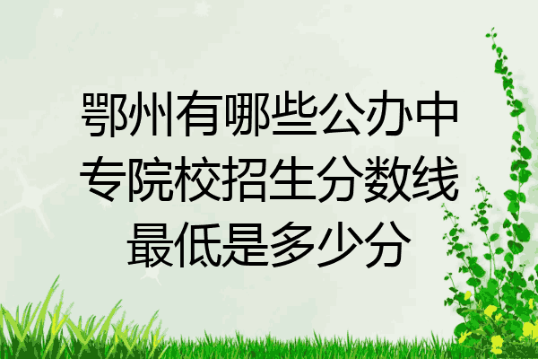 鄂州有哪些公办中专院校招生分数线最低是多少分
