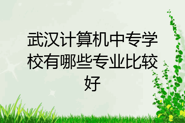 武汉计算机中专学校有哪些专业比较好
