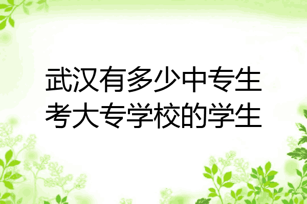 武汉有多少中专生考大专学校的学生