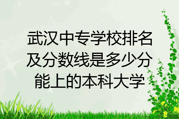 武汉中专学校排名及分数线是多少分能上的本科大学
