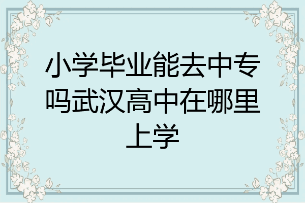 小学毕业能去中专吗武汉高中在哪里上学