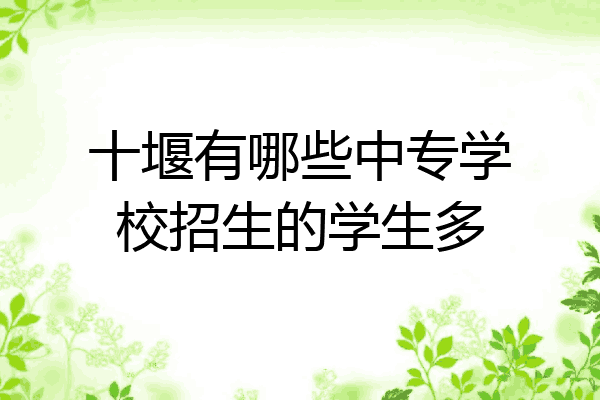 十堰有哪些中专学校招生的学生多