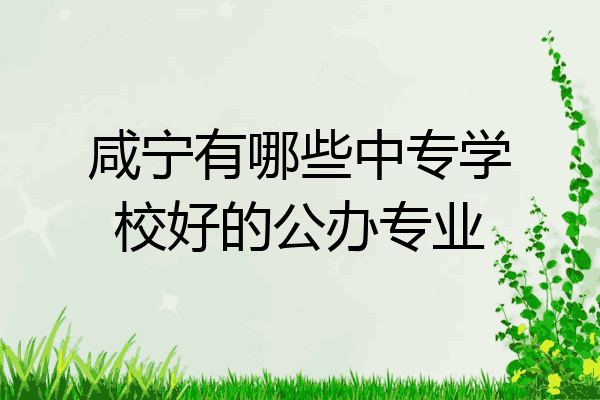 咸宁有哪些中专学校好的公办专业