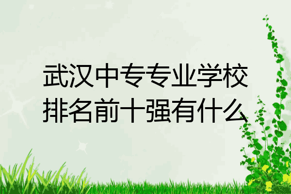 武汉中专专业学校排名前十强有什么