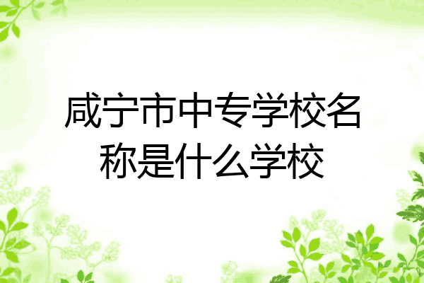 咸宁市中专学校名称是什么学校