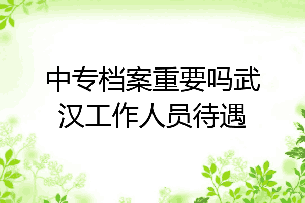 中专档案重要吗武汉工作人员待遇
