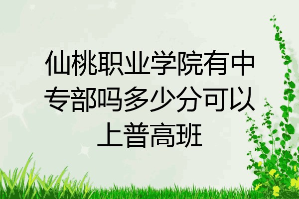 仙桃职业学院有中专部吗多少分可以上普高班